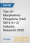Tris-(4-Morpholino)-Phosphine (CAS 5815-61-2) Industry Research 2025: Global and Regional Market Trends 2019-2024 and Forecast to 2029 - Product Thumbnail Image