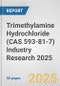 Trimethylamine Hydrochloride (CAS 593-81-7) Industry Research 2025: Global and Regional Market Trends 2019-2024 and Forecast to 2029 - Product Image