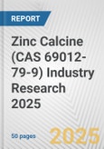 Zinc Calcine (CAS 69012-79-9) Industry Research 2025: Global and Regional Market Trends 2019-2024 and Forecast to 2029- Product Image
