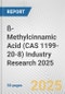 ß-Methylcinnamic Acid (CAS 1199-20-8) Industry Research 2025: Global and Regional Market Trends 2019-2024 and Forecast to 2029 - Product Image