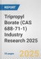 Tripropyl Borate (CAS 688-71-1) Industry Research 2025: Global and Regional Market Trends 2019-2024 and Forecast to 2029 - Product Thumbnail Image