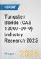 Tungsten Boride (CAS 12007-09-9) Industry Research 2025: Global and Regional Market Trends 2019-2024 and Forecast to 2029 - Product Image