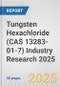 Tungsten Hexachloride (CAS 13283-01-7) Industry Research 2025: Global and Regional Market Trends 2019-2024 and Forecast to 2029 - Product Image
