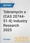 Tobramycin a (CAS 20744-51-8) Industry Research 2025: Global and Regional Market Trends 2019-2024 and Forecast to 2029- Product Image
