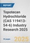 Topotecan Hydrochloride (CAS 119413-54-6) Industry Research 2025: Global and Regional Market Trends 2019-2024 and Forecast to 2029 - Product Thumbnail Image