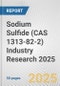 Sodium Sulfide (CAS 1313-82-2) Industry Research 2025: Global and Regional Market Trends 2019-2024 and Forecast to 2029 - Product Image