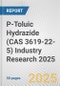 P-Toluic Hydrazide (CAS 3619-22-5) Industry Research 2025: Global and Regional Market Trends 2019-2024 and Forecast to 2029 - Product Image