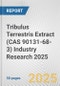 Tribulus Terrestris Extract (CAS 90131-68-3) Industry Research 2025: Global and Regional Market Trends 2019-2024 and Forecast to 2029 - Product Image