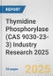 Thymidine Phosphorylase (CAS 9030-23-3) Industry Research 2025: Global and Regional Market Trends 2019-2024 and Forecast to 2029 - Product Image