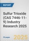 Sulfur Trioxide (CAS 7446-11-9) Industry Research 2025: Global and Regional Market Trends 2019-2024 and Forecast to 2029 - Product Image