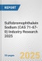 Sulfobromophthalein Sodium (CAS 71-67-0) Industry Research 2025: Global and Regional Market Trends 2019-2024 and Forecast to 2029 - Product Thumbnail Image