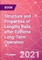 Structure and Properties of Lengthy Rails after Extreme Long-Term Operation - Product Thumbnail Image