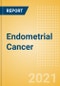 Endometrial Cancer - Global Drug Forecast and Market Analysis to 2030 - Product Thumbnail Image