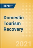 Domestic Tourism Recovery - Case Study- Product Image