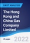 The Hong Kong and China Gas Company Limited - Strategy, SWOT and Corporate Finance Report - Product Thumbnail Image