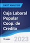 Caja Laboral Popular Coop. de Credito - Strategy, SWOT and Corporate Finance Report - Product Thumbnail Image