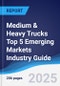 Medium & Heavy Trucks Top 5 Emerging Markets Industry Guide 2019-2028 - Product Thumbnail Image