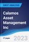 Calamos Asset Management Inc - Strategy, SWOT and Corporate Finance Report - Product Thumbnail Image