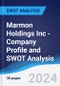 Marmon Holdings Inc - Company Profile and SWOT Analysis - Product Thumbnail Image