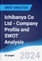 Ichibanya Co Ltd - Company Profile and SWOT Analysis - Product Thumbnail Image