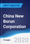 China New Borun Corporation - Strategy, SWOT and Corporate Finance Report - Product Thumbnail Image