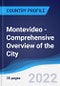 Montevideo - Comprehensive Overview of the City, PEST Analysis and Analysis of Key Industries including Technology, Tourism and Hospitality, Construction and Retail - Product Image
