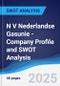 N V Nederlandse Gasunie - Company Profile and SWOT Analysis - Product Thumbnail Image