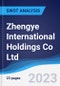Zhengye International Holdings Co Ltd - Strategy, SWOT and Corporate Finance Report - Product Thumbnail Image