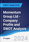 Momentum Group Ltd - Company Profile and SWOT Analysis- Product Image