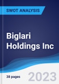 Biglari Holdings Inc - Strategy, SWOT and Corporate Finance Report- Product Image