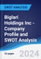 Biglari Holdings Inc - Company Profile and SWOT Analysis - Product Thumbnail Image