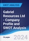 Gabriel Resources Ltd - Company Profile and SWOT Analysis - Product Thumbnail Image