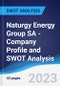 Naturgy Energy Group SA - Company Profile and SWOT Analysis - Product Thumbnail Image