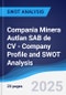 Compania Minera Autlan SAB de CV - Company Profile and SWOT Analysis - Product Thumbnail Image