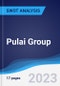 Pulai Group - Strategy, SWOT and Corporate Finance Report - Product Thumbnail Image