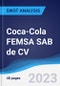 Coca-Cola FEMSA SAB de CV - Strategy, SWOT and Corporate Finance Report - Product Thumbnail Image