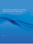 Beijing Enterprises Holdings Ltd - Company Profile and SWOT Analysis- Product Image