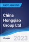 China Hongqiao Group Ltd - Strategy, SWOT and Corporate Finance Report - Product Thumbnail Image