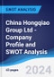 China Hongqiao Group Ltd - Company Profile and SWOT Analysis - Product Thumbnail Image