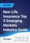 Non-Life Insurance Top 5 Emerging Markets Industry Guide 2018-2027 - Product Image