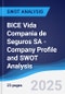 BICE Vida Compania de Seguros SA - Company Profile and SWOT Analysis - Product Thumbnail Image
