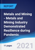 Metals and Mining - Metals and Mining Industry Demonstrated Resilience during Pandemic- Product Image
