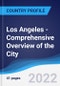 Los Angeles - Comprehensive Overview of the City, PEST Analysis and Analysis of Key Industries including Technology, Tourism and Hospitality, Construction and Retail - Product Thumbnail Image