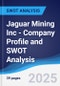 Jaguar Mining Inc - Company Profile and SWOT Analysis - Product Thumbnail Image