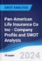 Pan-American Life Insurance Co Inc - Company Profile and SWOT Analysis - Product Thumbnail Image