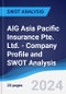 AIG Asia Pacific Insurance Pte. Ltd. - Company Profile and SWOT Analysis - Product Thumbnail Image