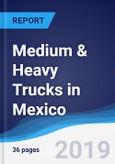 Medium & Heavy Trucks in Mexico- Product Image