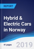 Hybrid & Electric Cars in Norway- Product Image