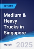 Medium & Heavy Trucks in Singapore- Product Image