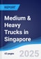 Medium & Heavy Trucks in Singapore - Product Thumbnail Image